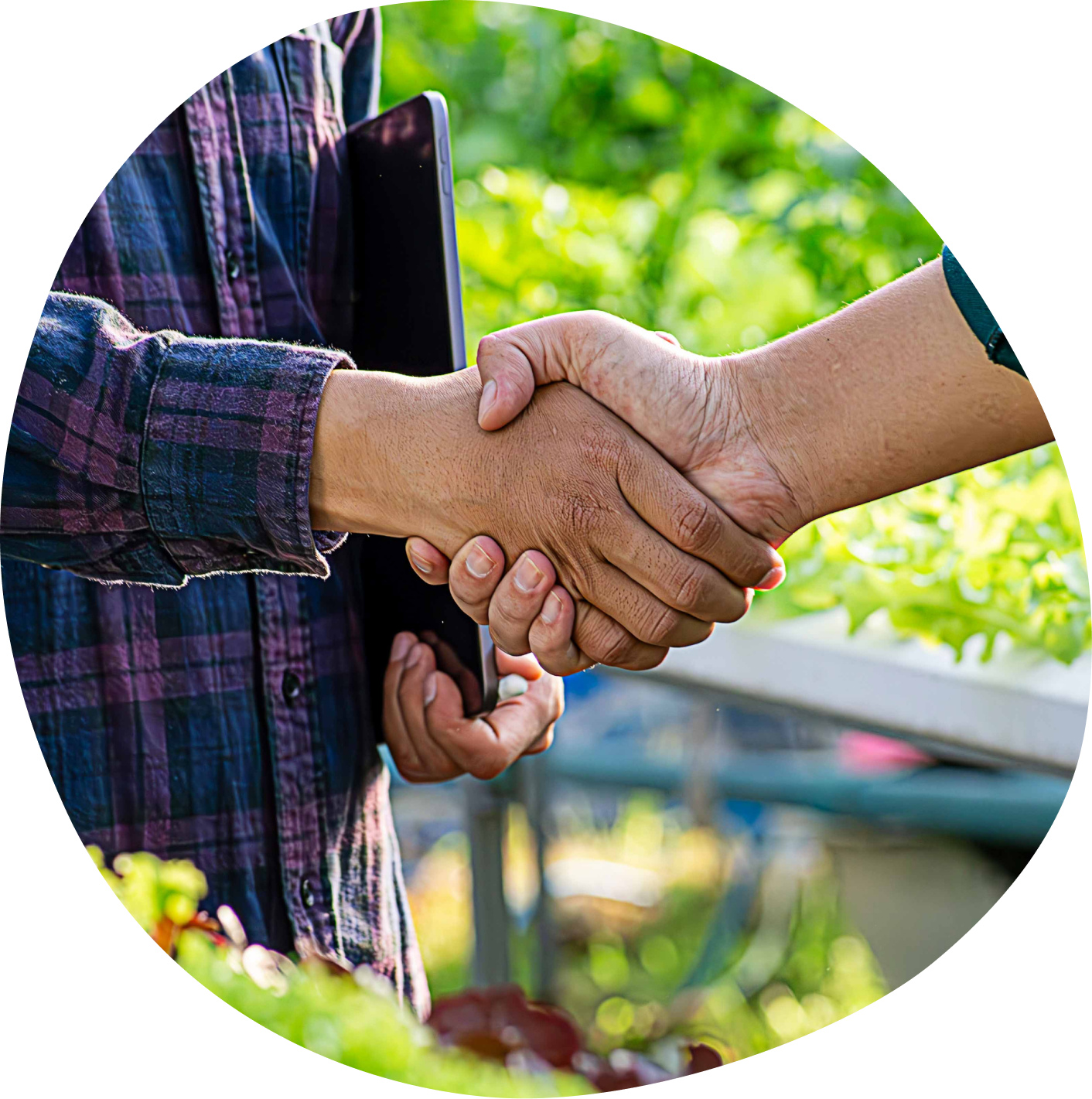 Academic & Global Partnerships