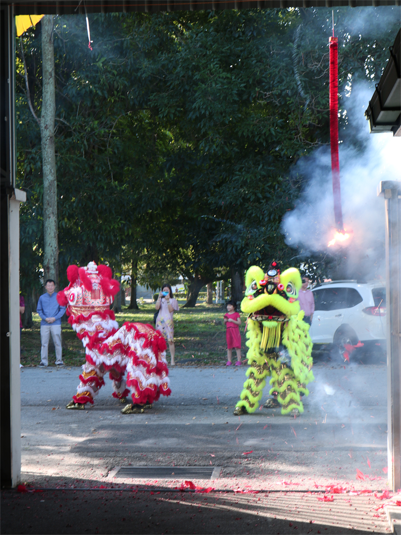 Chinese New Year 2025